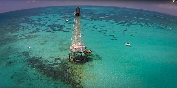 Alligator Reef