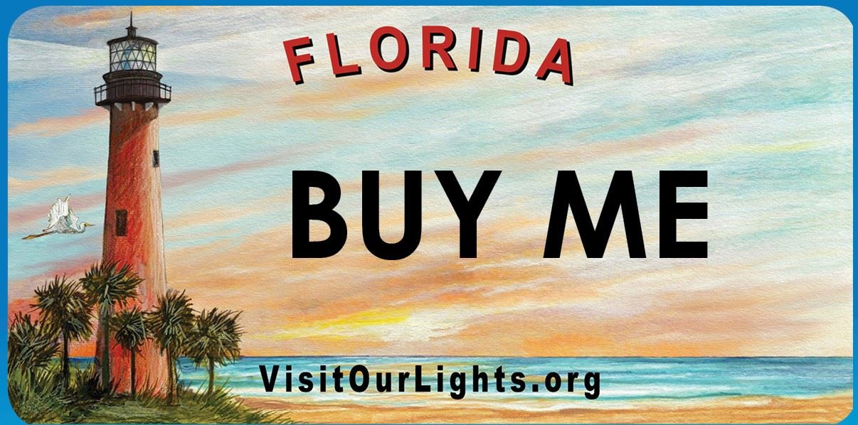 Visit Our Lights Florida license plate